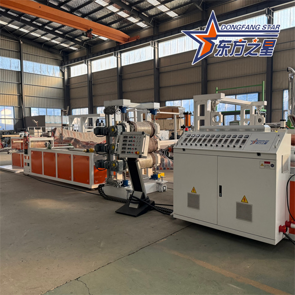 Estrusori per fogli biodegradabili in PLA più diffusi nel 2026